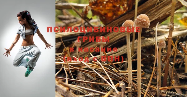 круглые Балахна