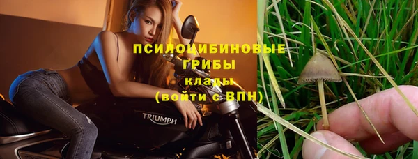прущая мука Баксан
