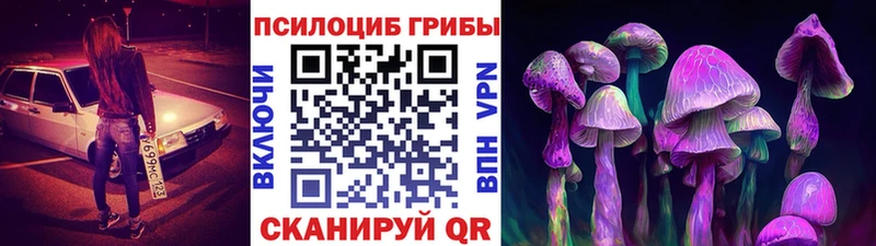 Псилоцибиновые грибы MAGIC MUSHROOMS  Купить где  Белореченск 